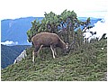 2008-7-6 下午 05-45-50---東郡北鞍營地與水路邂逅6.jpg